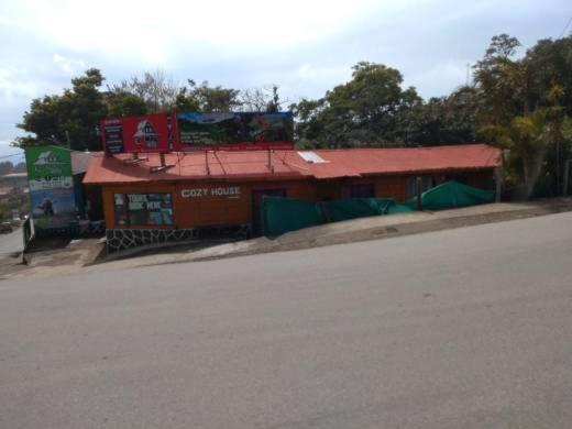 Paco House Hostel